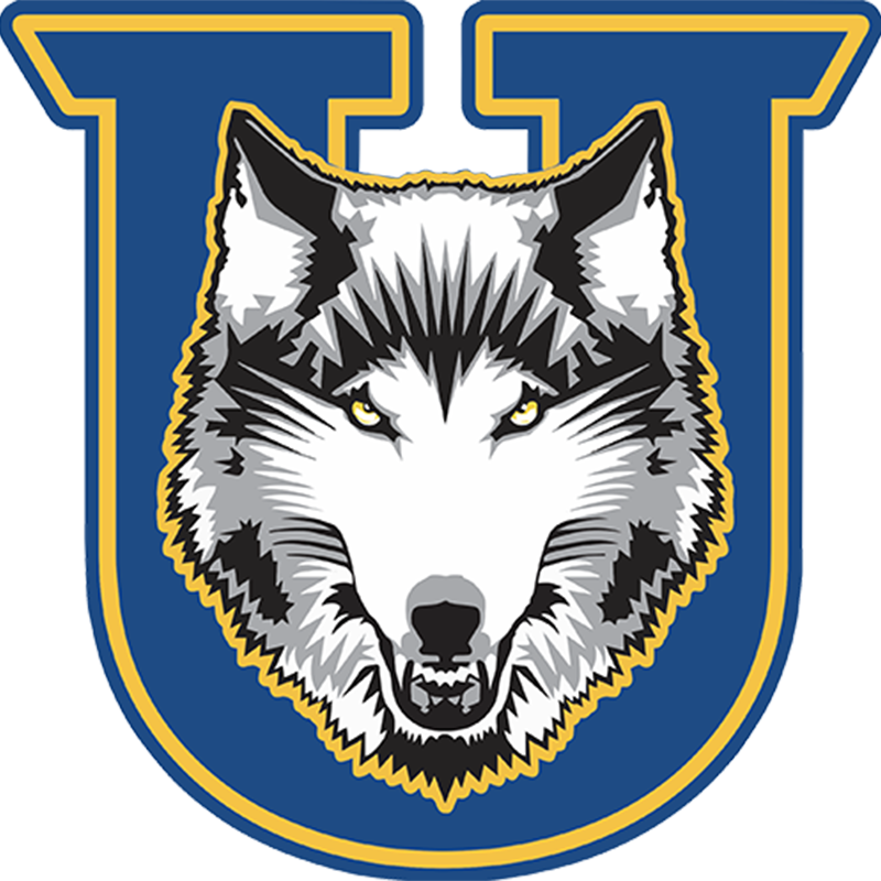 Lakehead Orillia Thunderwolves Logo